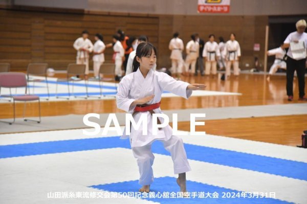 画像1: 山田派糸東流修交会111 (1)