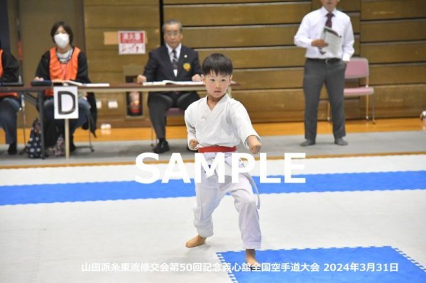 画像1: 山田派糸東流修交会93 (1)