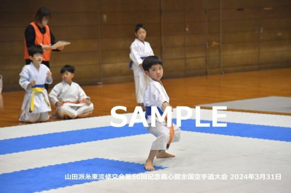 画像1: 山田派糸東流修交会211 (1)