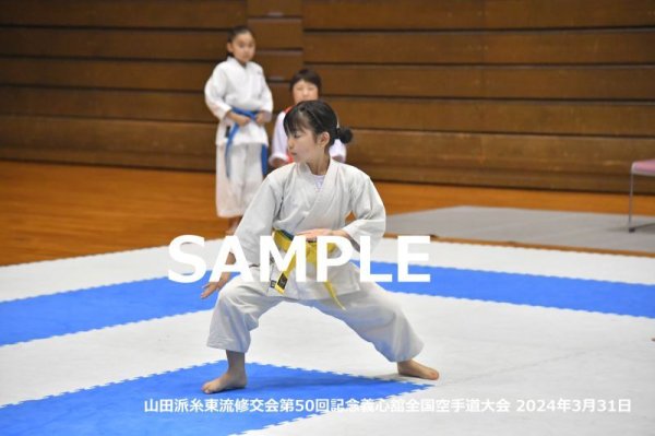 画像1: 山田派糸東流修交会156 (1)