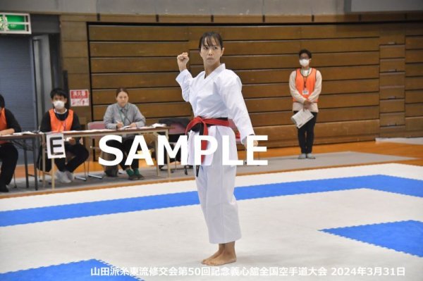 画像1: 山田派糸東流修交会201 (1)