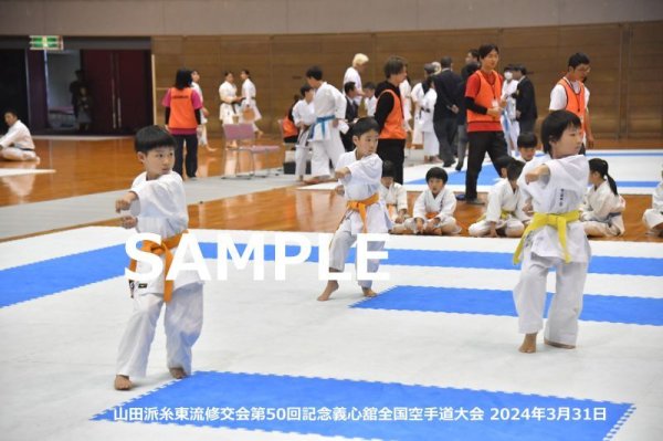 画像1: 山田派糸東流修交会296 (1)