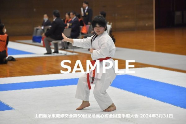 画像1: 山田派糸東流修交会371 (1)