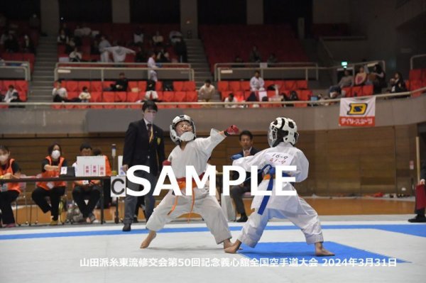 画像1: 山田派糸東流修交会484 (1)