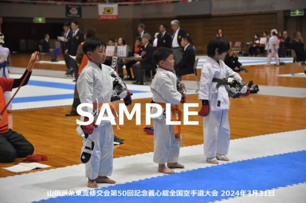 画像1: 山田派糸東流修交会499 (1)