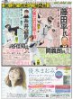 画像5: トシちゃん娘と高良健吾結婚（東京版）2024年10月5日付 (5)