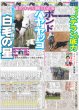 画像6: 関西発!!未来万博 Boys be 中川惺太 まずは自分が笑う（東京版）2024年12月18日付 (6)